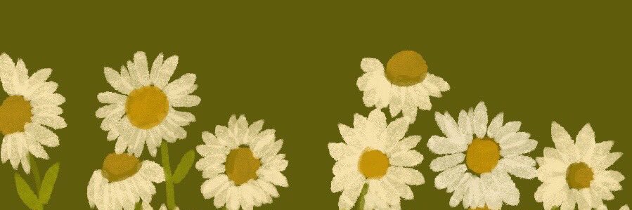 sisoong's profile banner image