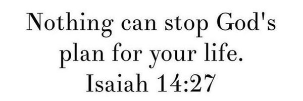 Bibbs2_ Profile Banner