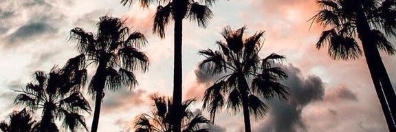 Abruuleal's profile banner image