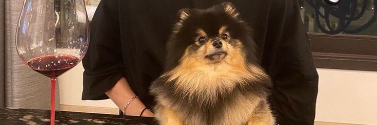 yoonjktv's profile banner image