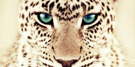 MeliiSwagg's profile banner image