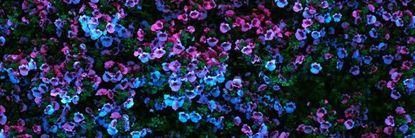 jvvi_'s profile banner image