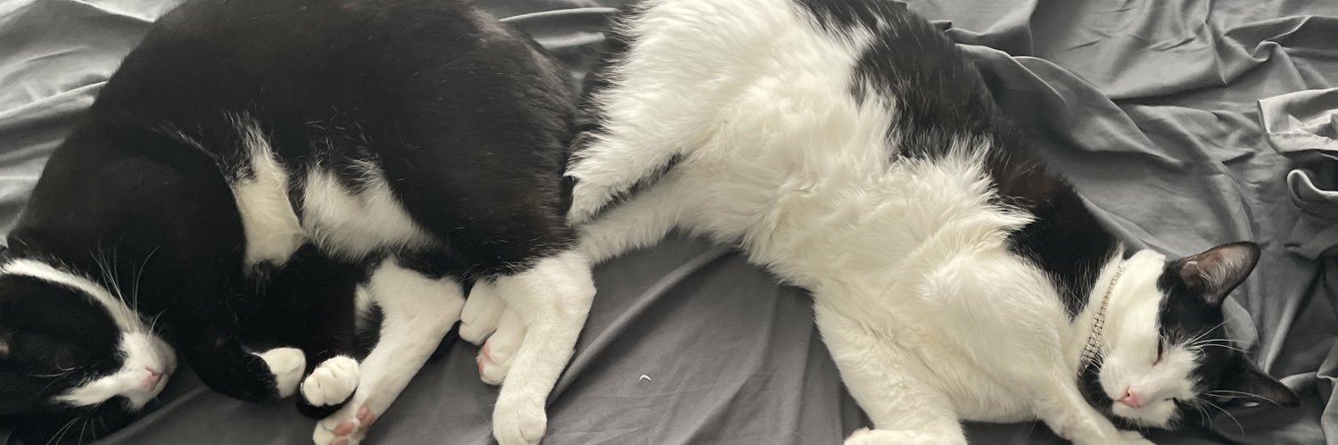 WonderbreadPapi banner