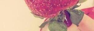 Hasartweet's profile banner image
