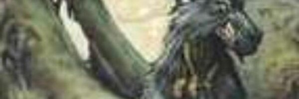Panimu Profile Banner