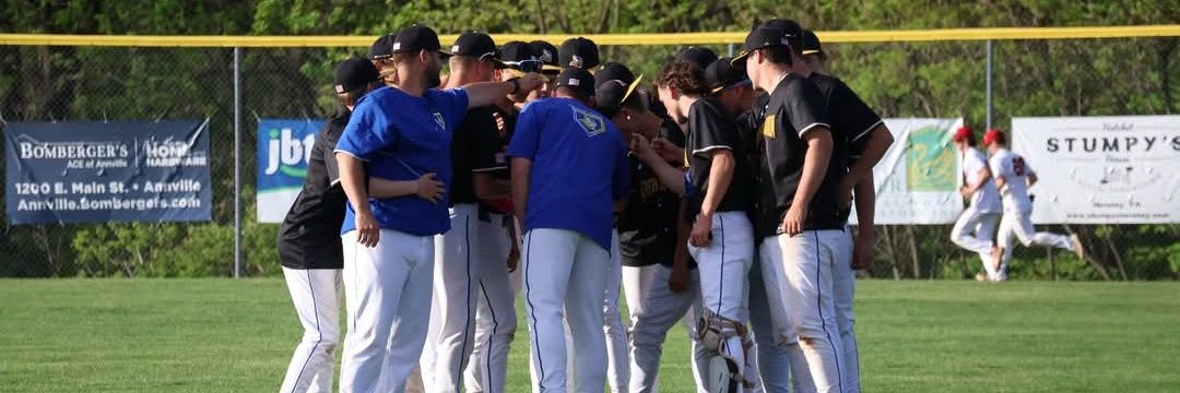 NLHS Baseball banner