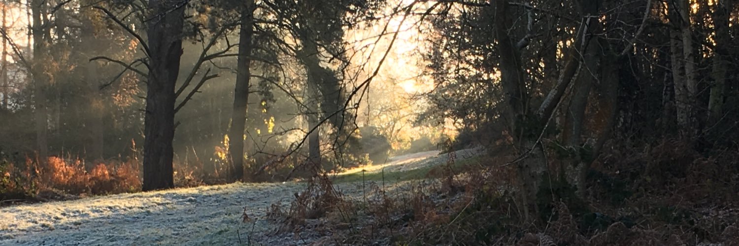emilyisold's profile banner image