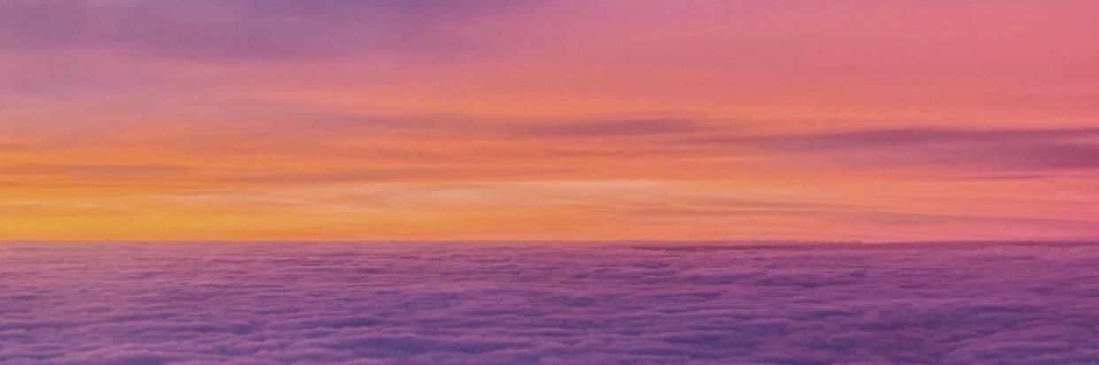 BrieLosito's profile banner image