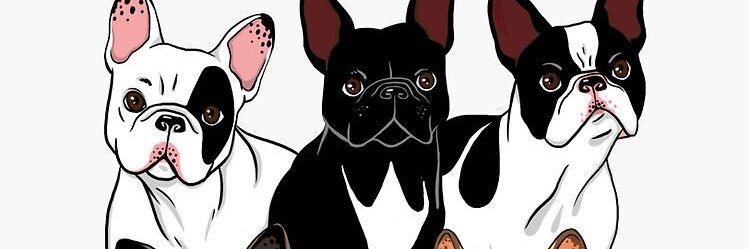 torresvicky27's profile banner image