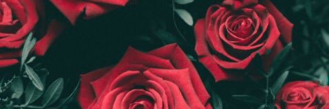 MissLHennessy's profile banner image