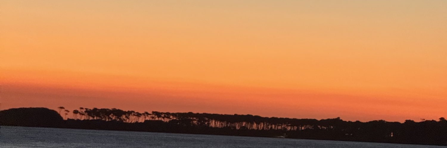 BeatrizVillarS's profile banner image