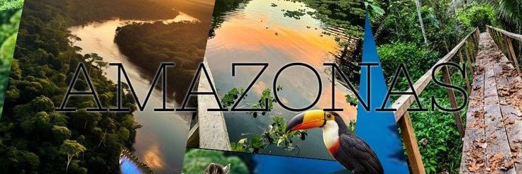 Tatiana Murrieta banner