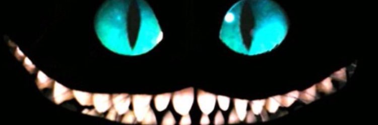 Bicoot's profile banner image