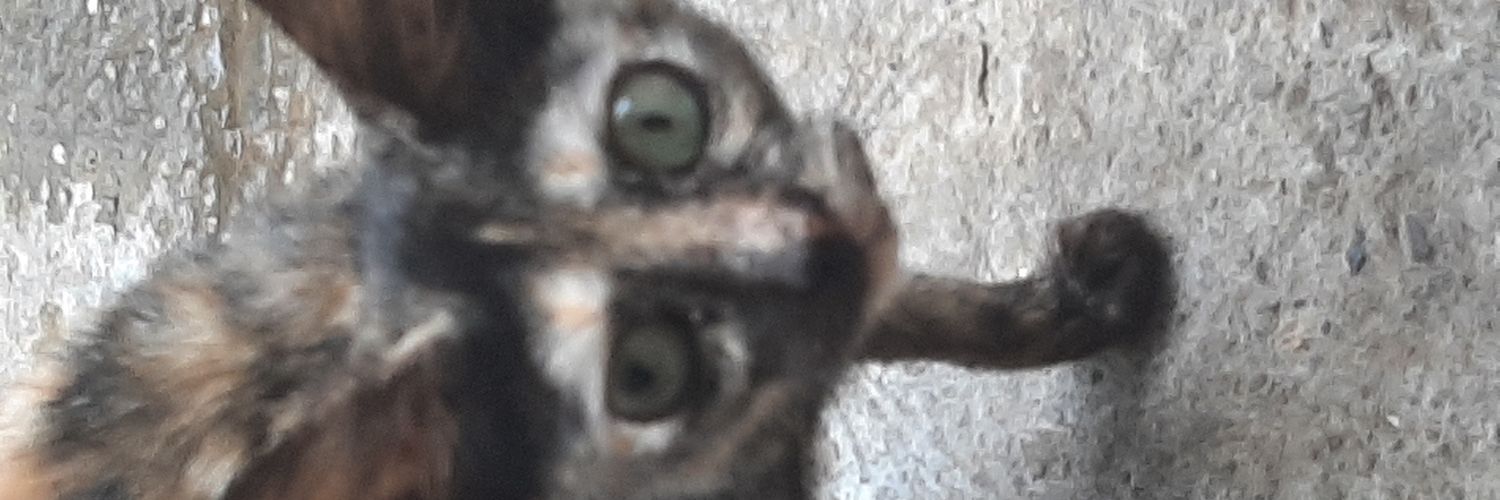 PetraMorta's profile banner image