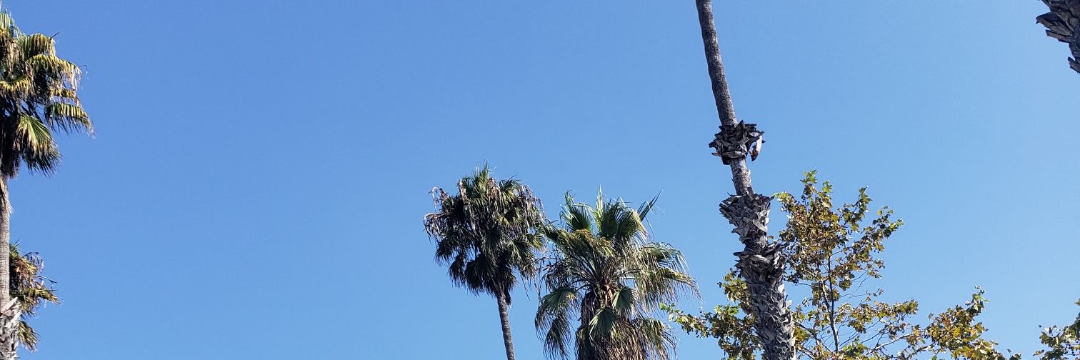 jcrash91's profile banner image