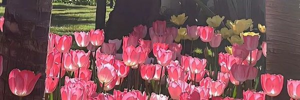 rrkhamrthaa Profile Banner