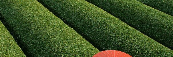 Leah_L & Zoey🐾 banner