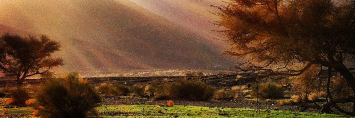 raiq1898's profile banner image