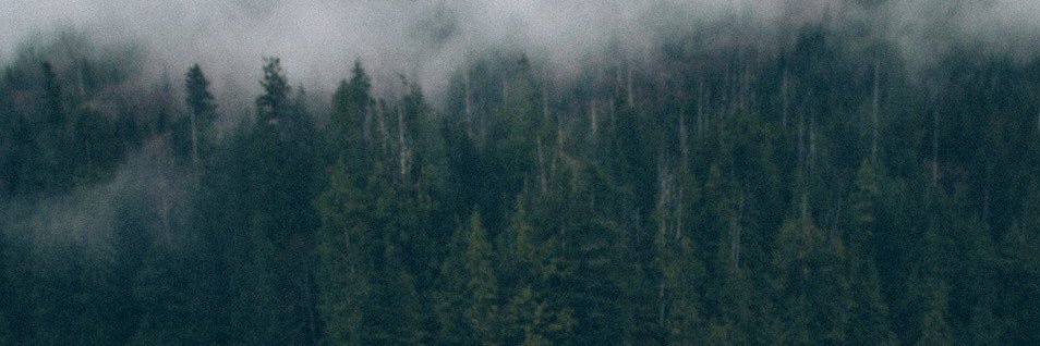 Denis_Vic's profile banner image