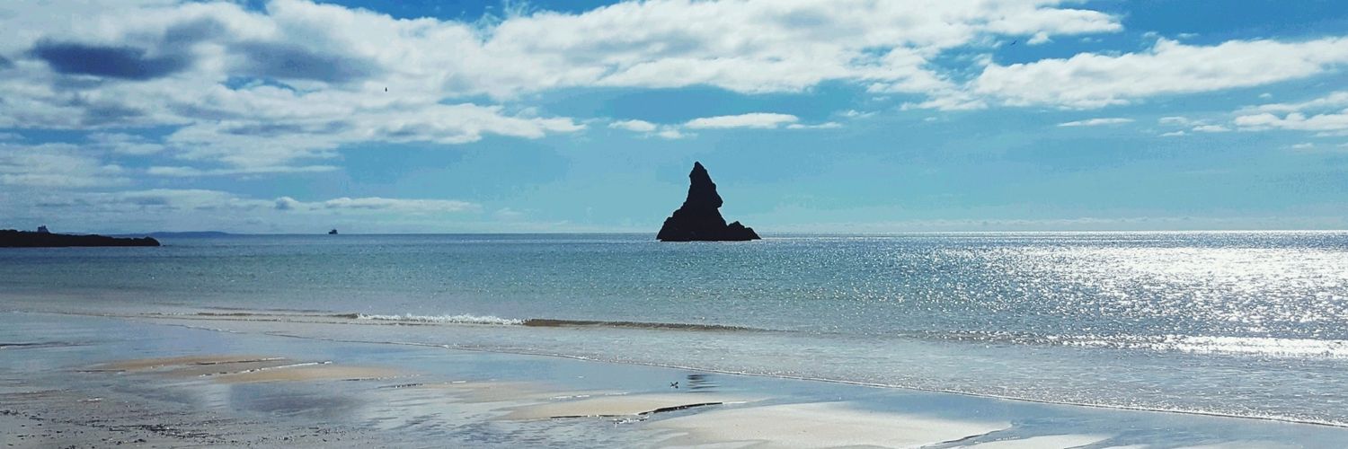 Virginia Rivers Bulkeley banner