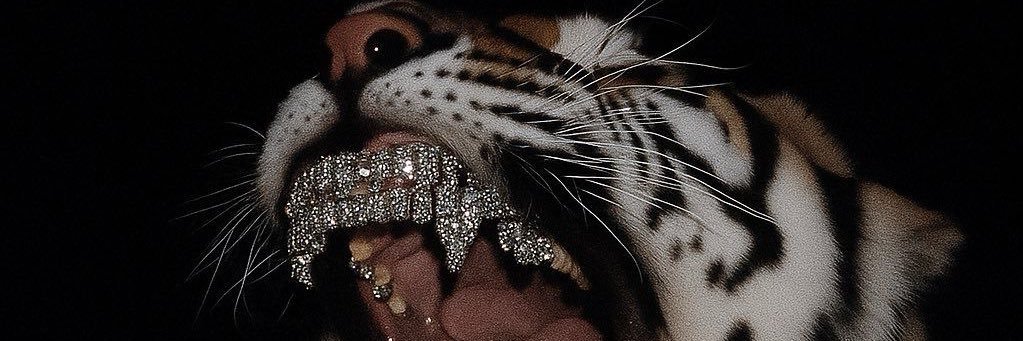 Leanetza's profile banner image