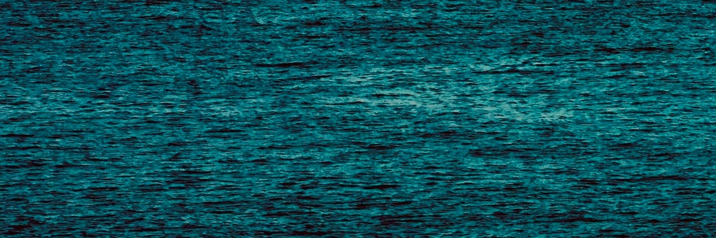Rae Bops banner