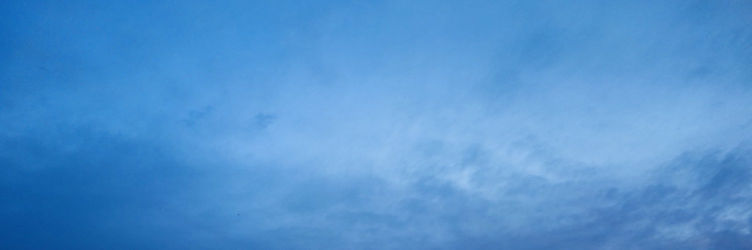 ray_aka_'s profile banner image