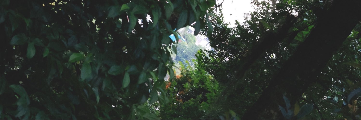 yos_benavidess's profile banner image