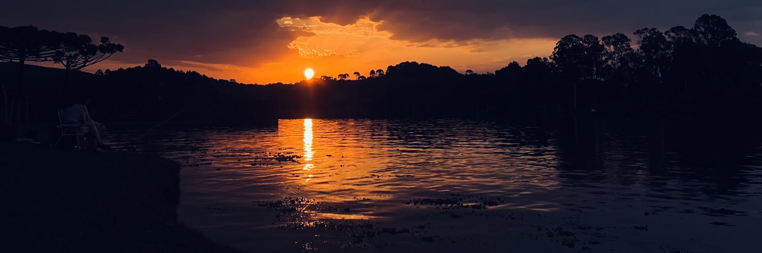 ttdalizz's profile banner image