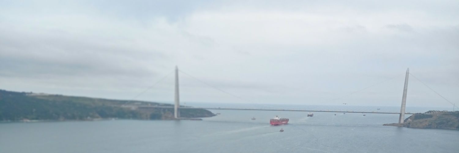 baldrooster33's profile banner image