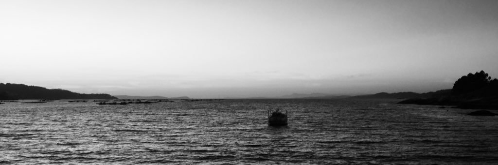 de_laurus's profile banner image