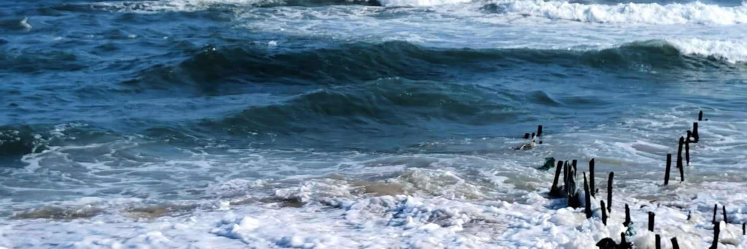 fyodor stamp##☔️🐀🐁🐭 banner