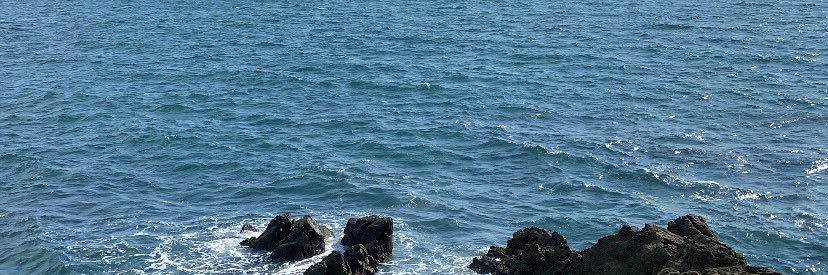 arydomrr's profile banner image