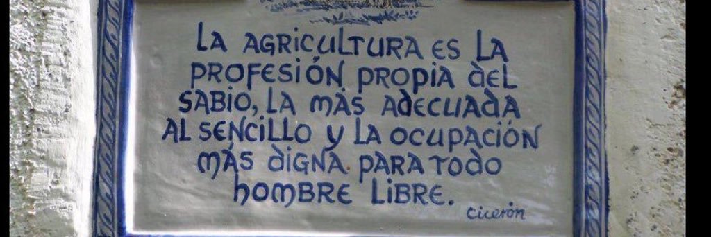 Martin Sanchez banner