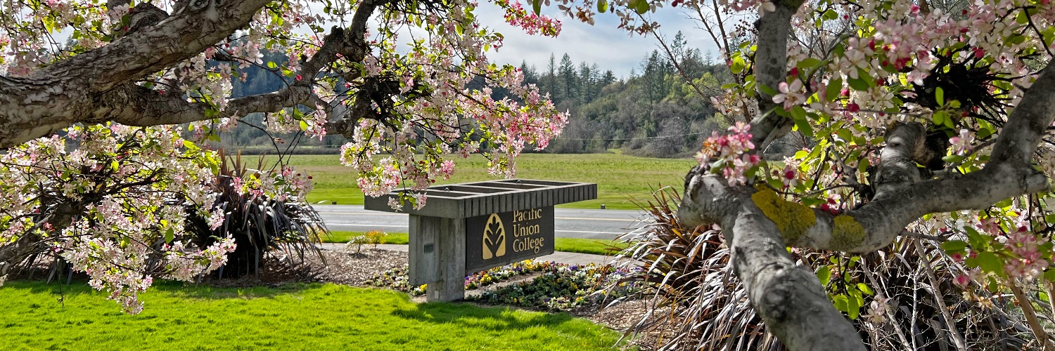 PUCalumni's profile banner image