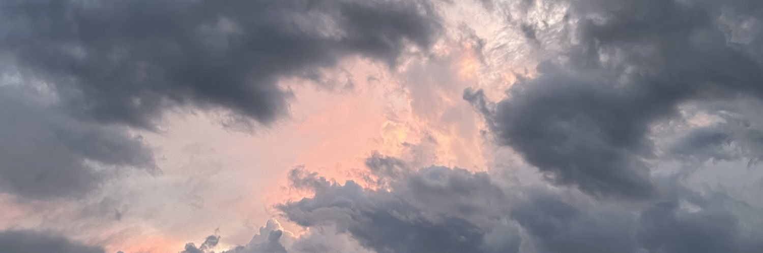 SharonHunter's profile banner image