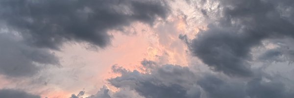 SharonHunter Profile Banner