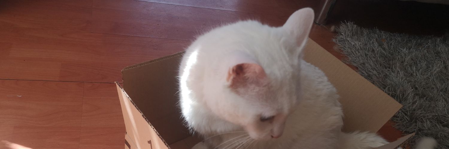 yagothecat's profile banner image
