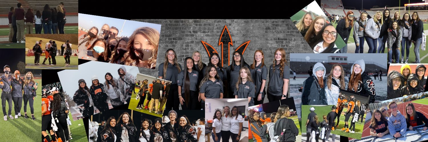 DHS Athletic Training banner