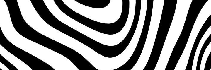 Pedro Lucio banner
