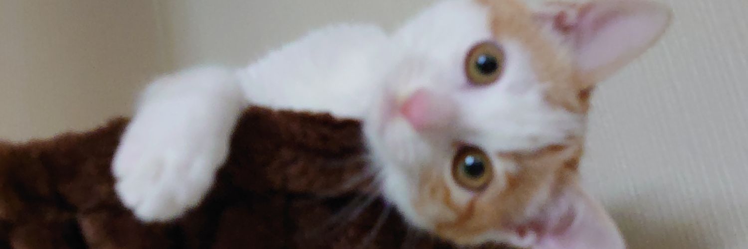 k305u's profile banner image
