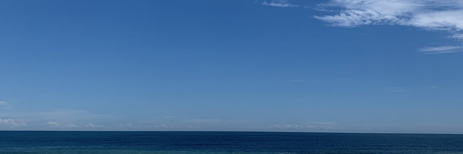 meredithstring's profile banner image