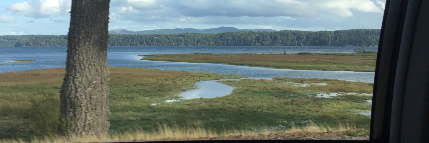 Isabella Duran banner