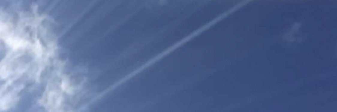 LikeDamnImShor's profile banner image