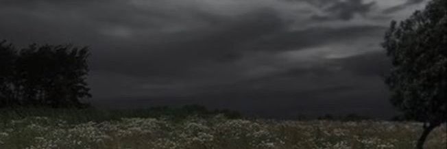 Paimon59630517's profile banner image