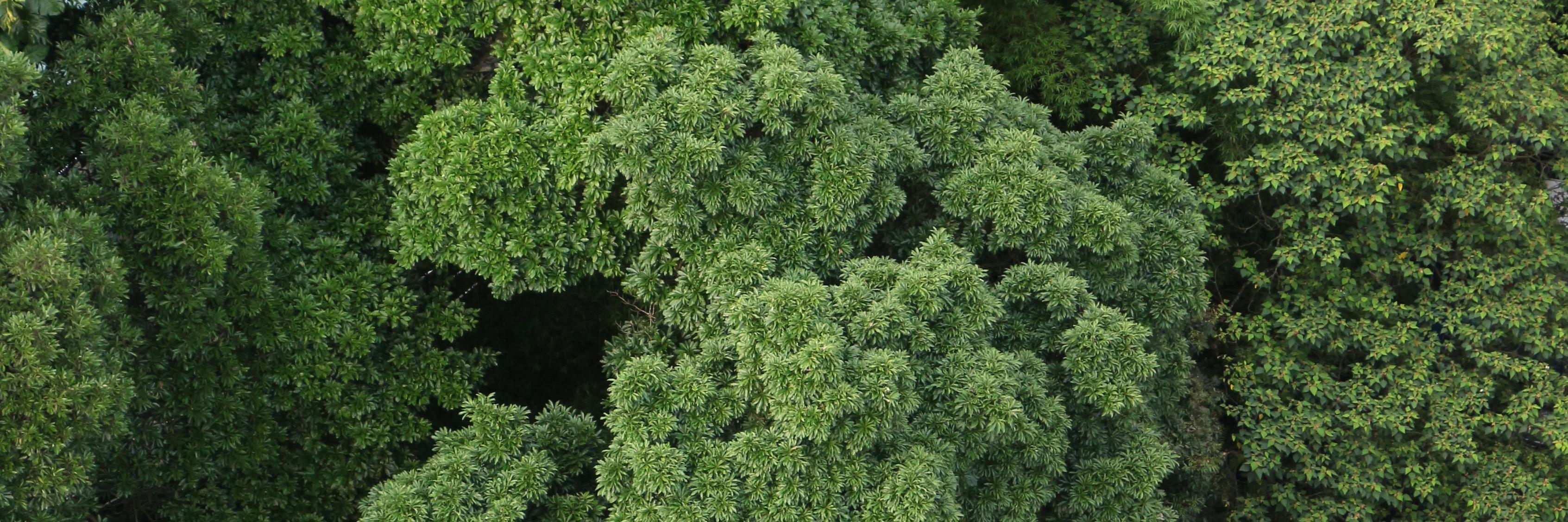bearpa's profile banner image