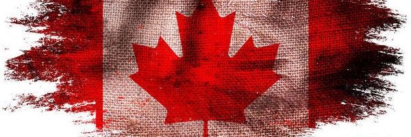 Libertas_Regnat's profile banner image
