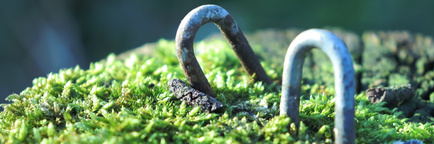 httplizzad's profile banner image
