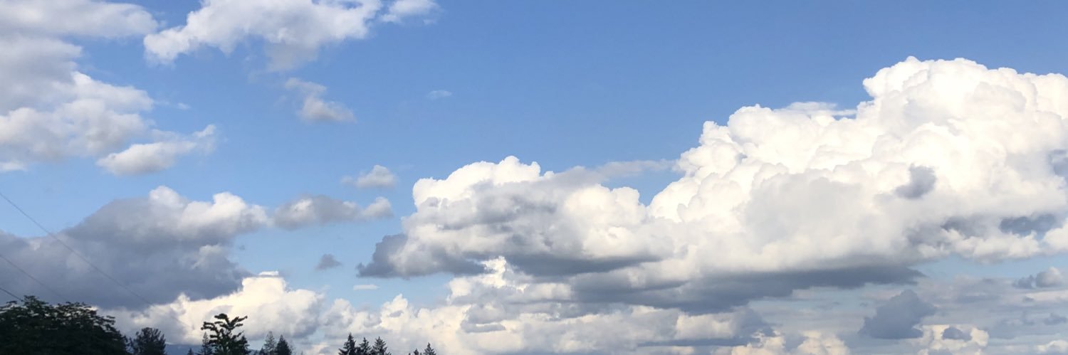 annapicchi_'s profile banner image