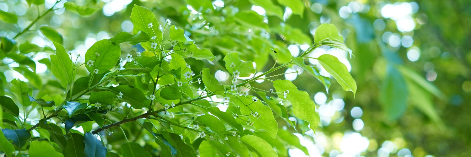 たこぴ/レタッチャー/人物レタッチ専門 banner